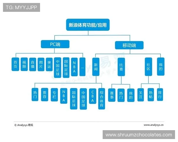 B体育如何打造个性化的体育资讯推送满足不同用户需求