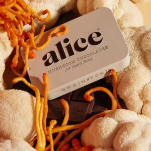 Alice Mushrooms chocolate
